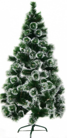 121220241245