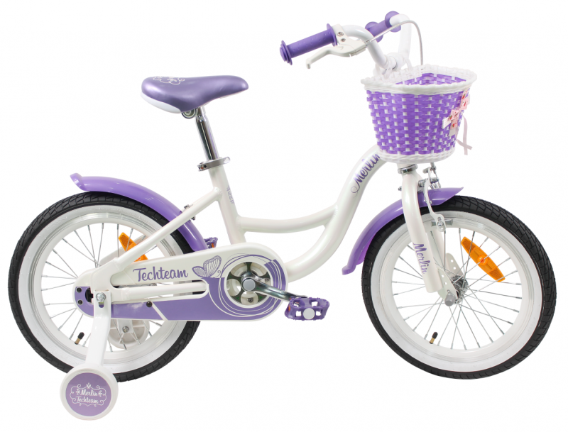 Merlin2019 Merlin2019